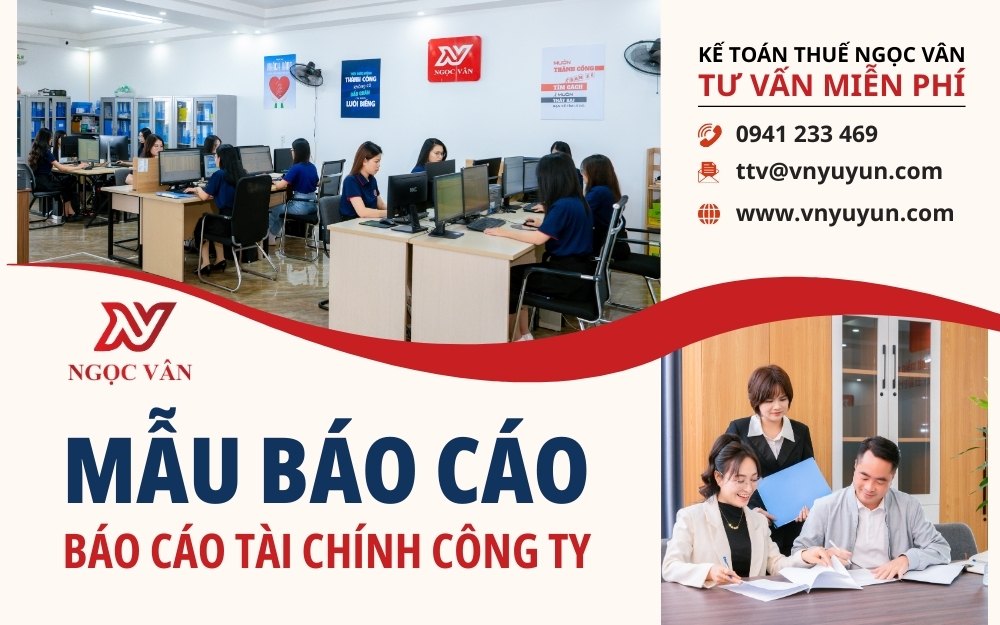 Mẫu báo cáo tài chính công ty
