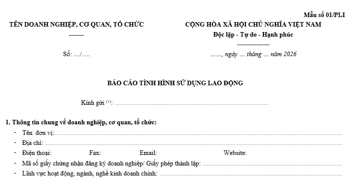  hướng dẫn nộp báo cáo tình hình sử dụng lao động